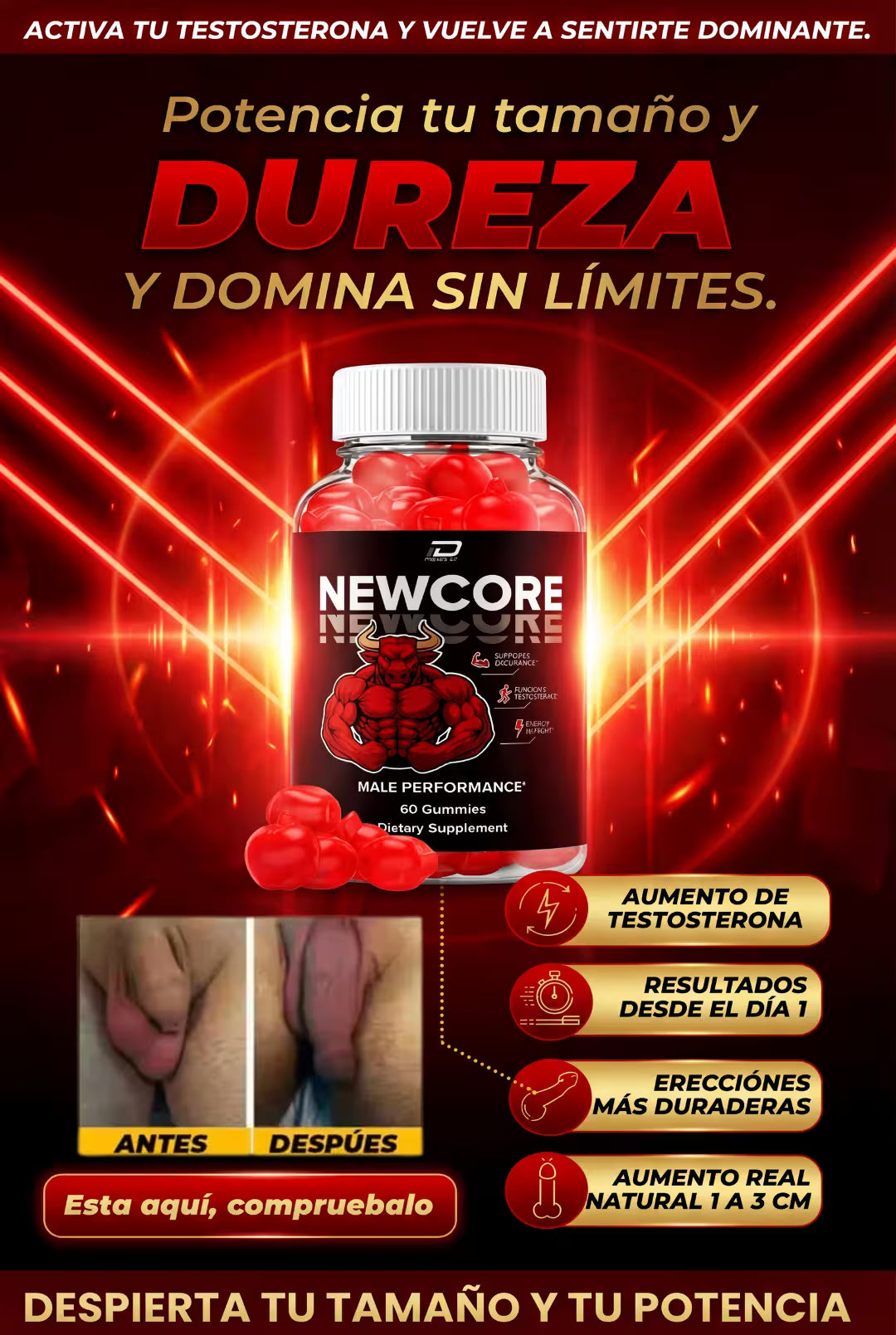 Newcore